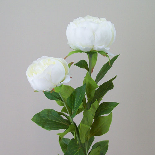 Peony Flowers Cream 63cm Artificial Flowers